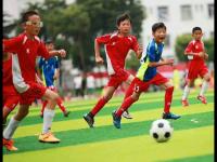 那不勒斯VS科莫直播_那不勒斯VS科莫在线视频直播_那不勒斯VS科莫高清直播